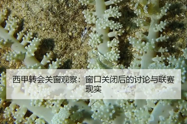 西甲转会关窗观察：窗口关闭后的讨论与联赛现实
